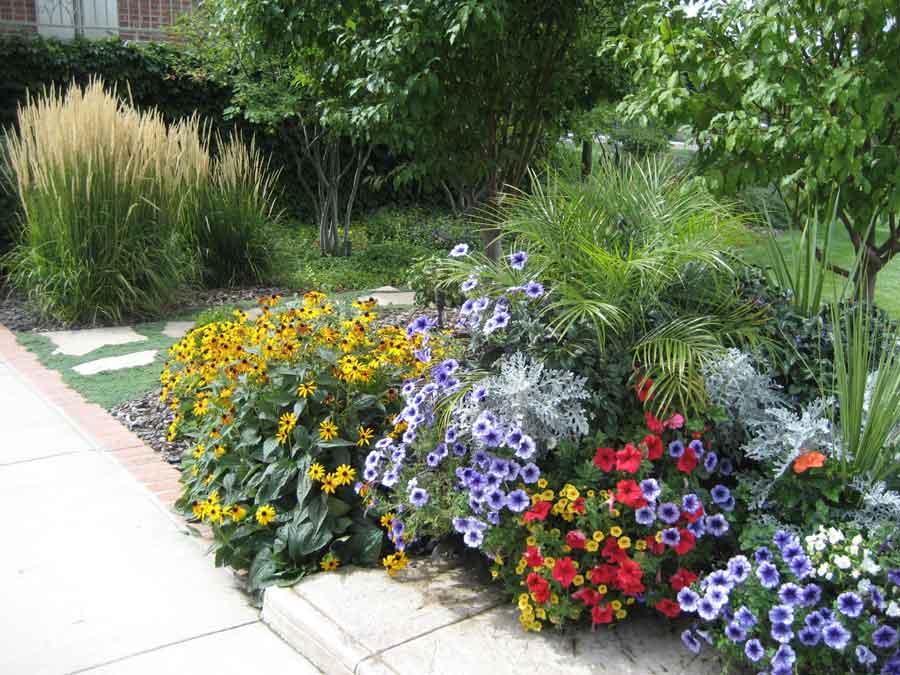 Annuals