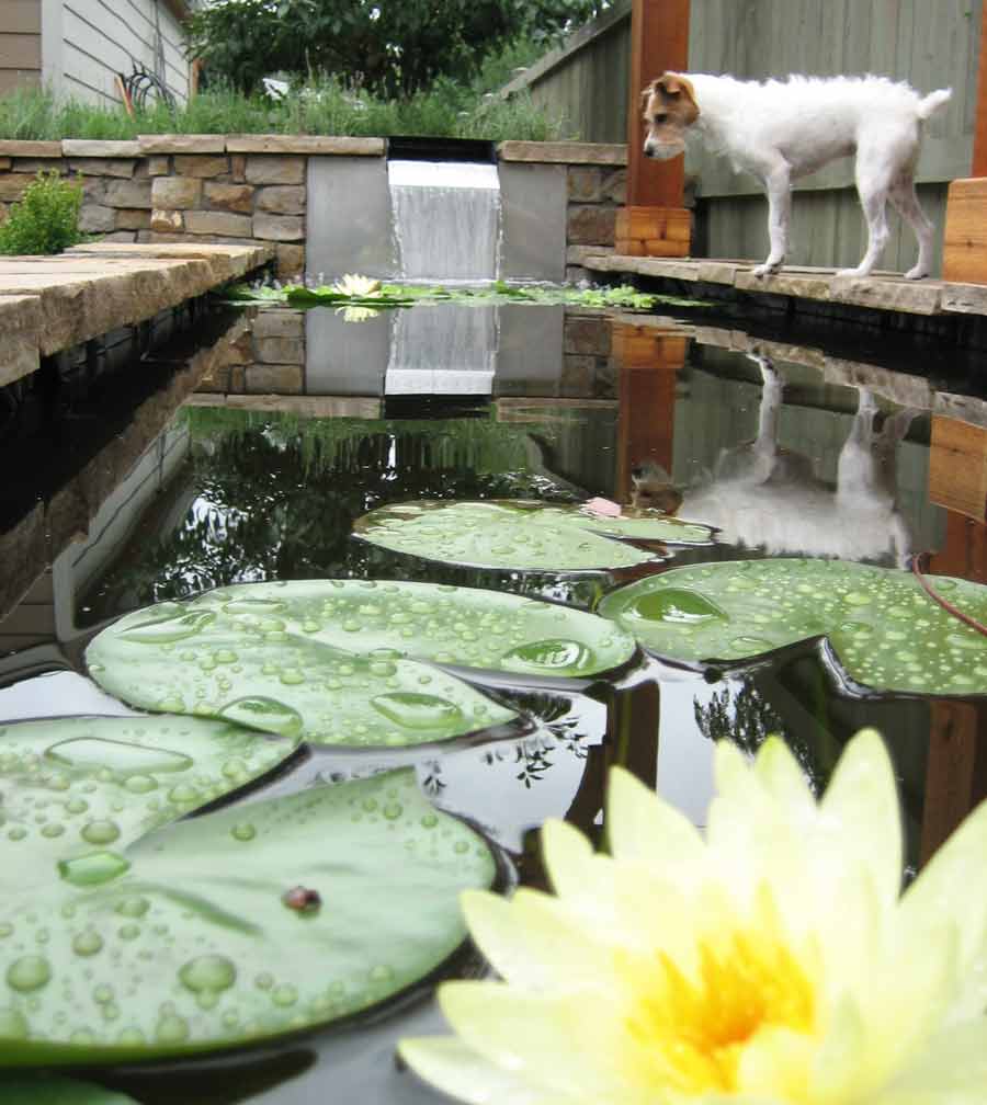 Water feature