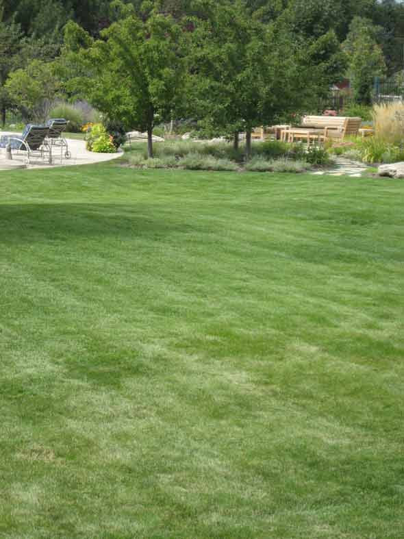 Aeration and Seeding