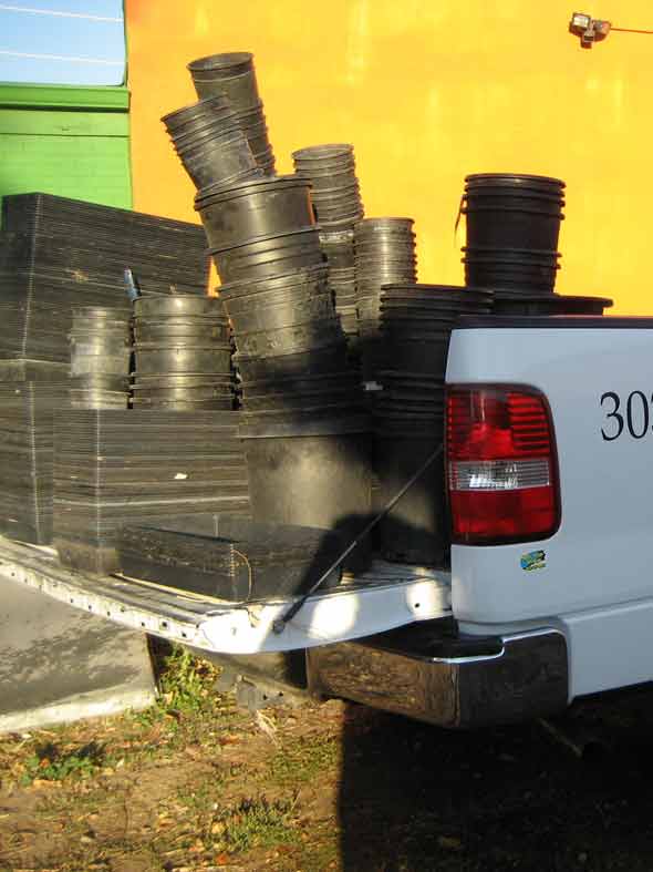 Eco Friendly